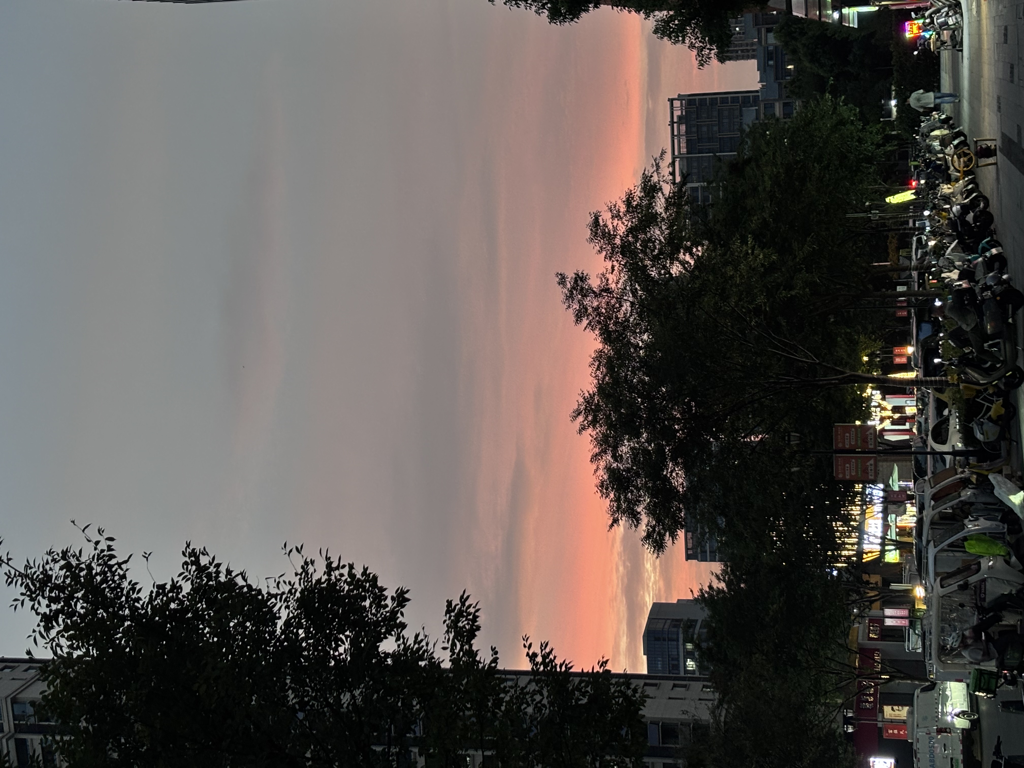 随拍